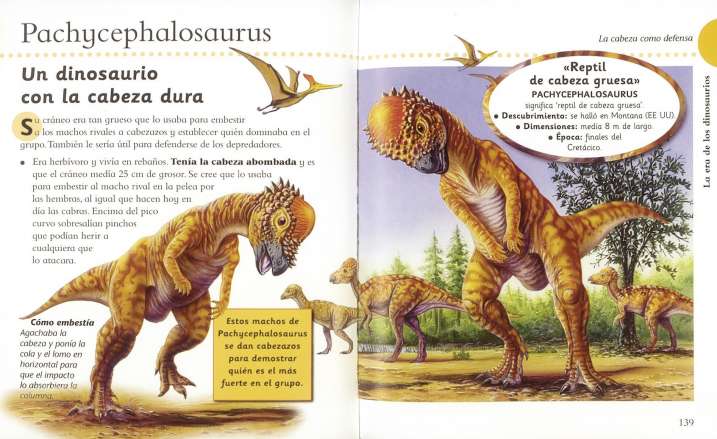 Dinosaurios y la vida en la...