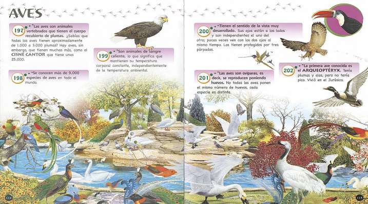 1.000 preguntas y...