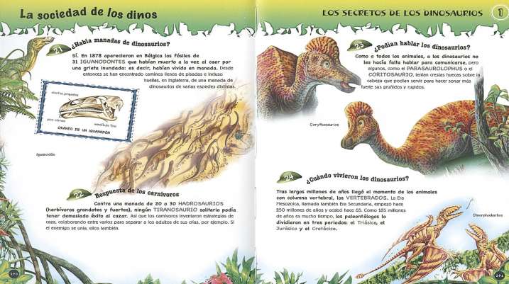 1.000 preguntas y...