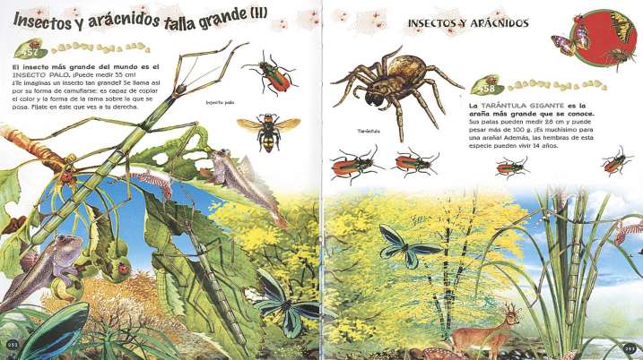 1000 Preguntas y respuestas...