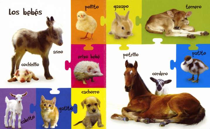 Animales de la granja y el...