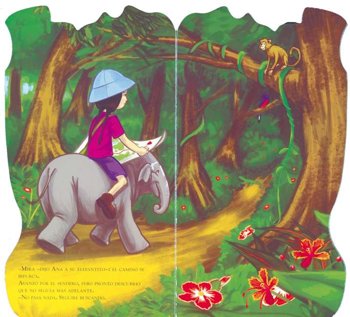 La exploradora curiosa