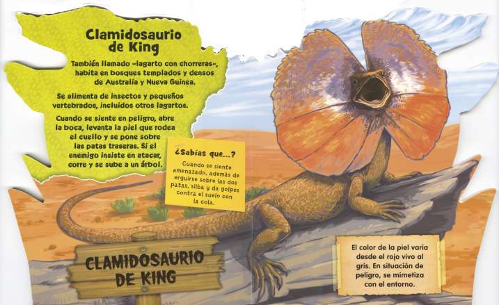 Lagartos escurridizos