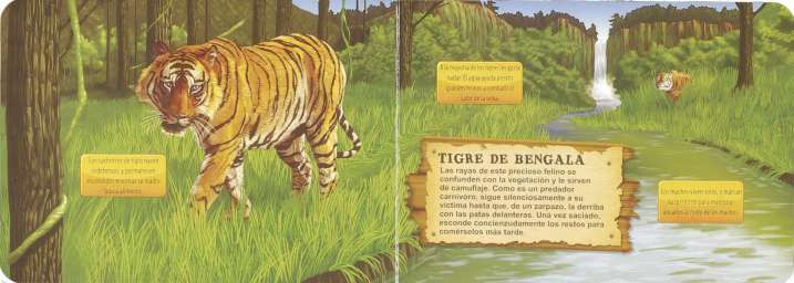 ¿Quién se oculta en la selva?