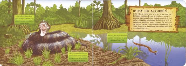 ¿Quién vigila en el pantano?