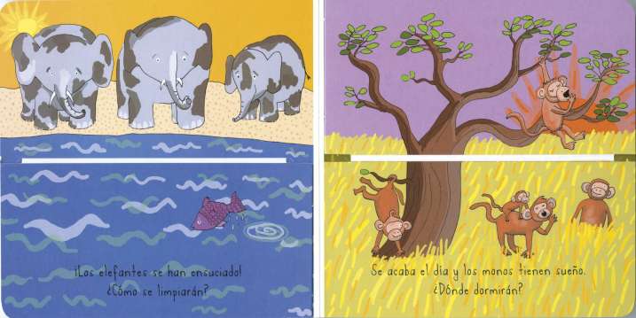 Los animales. ¡Descubre qué...