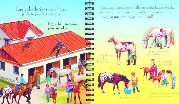 Caballos y ponis