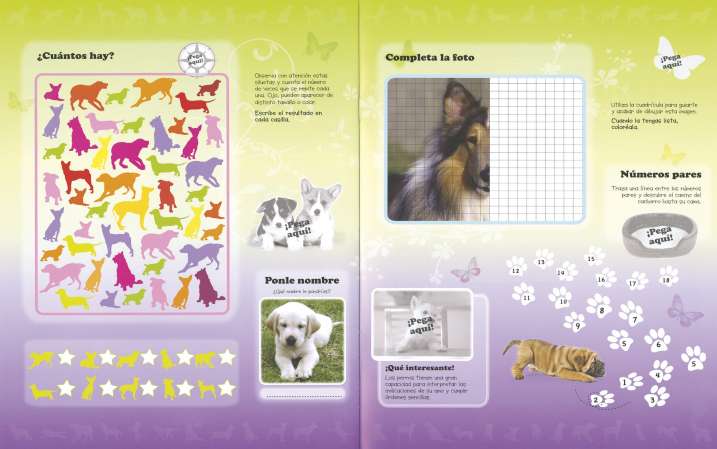 Perros. Ejercicios,...