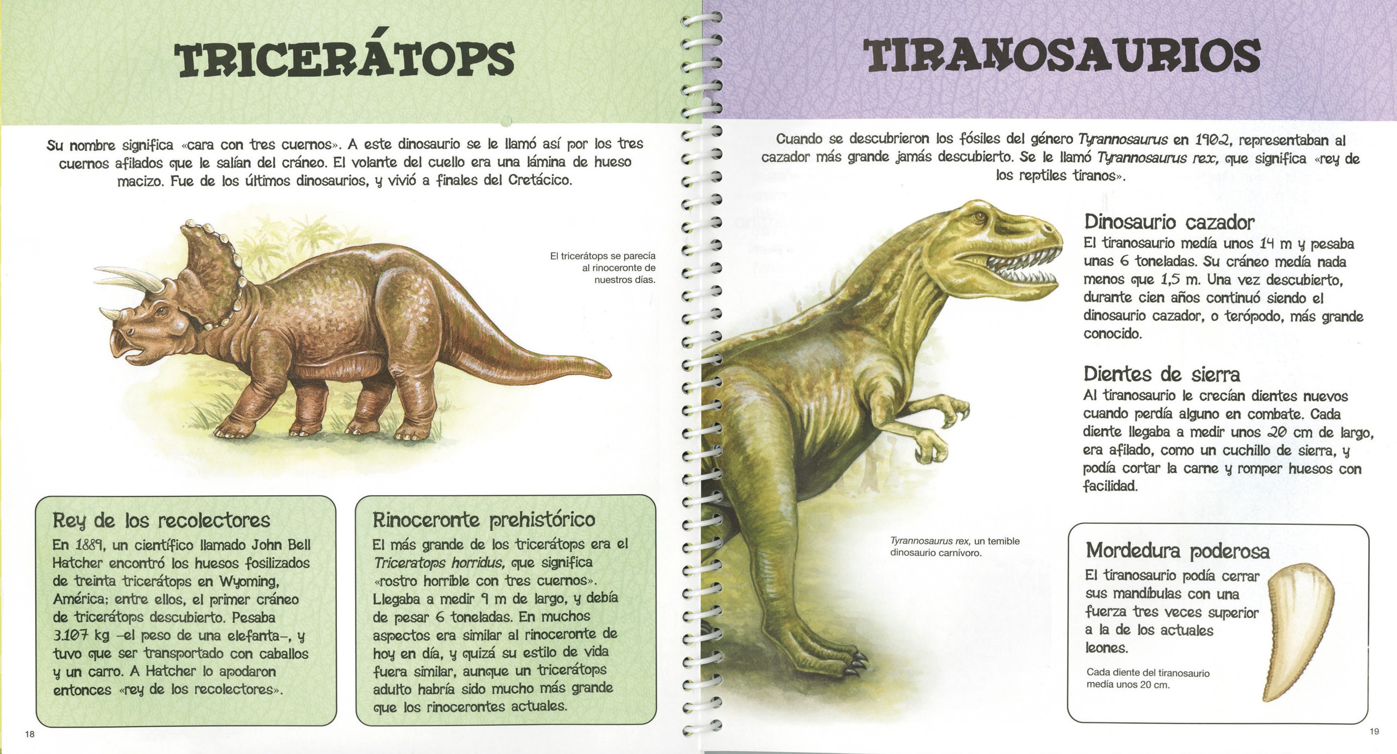 Dinosaurios | Editorial Susaeta - Venta de libros infantiles, venta de