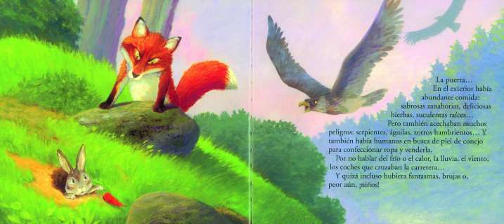 El conejo y la sinceridad