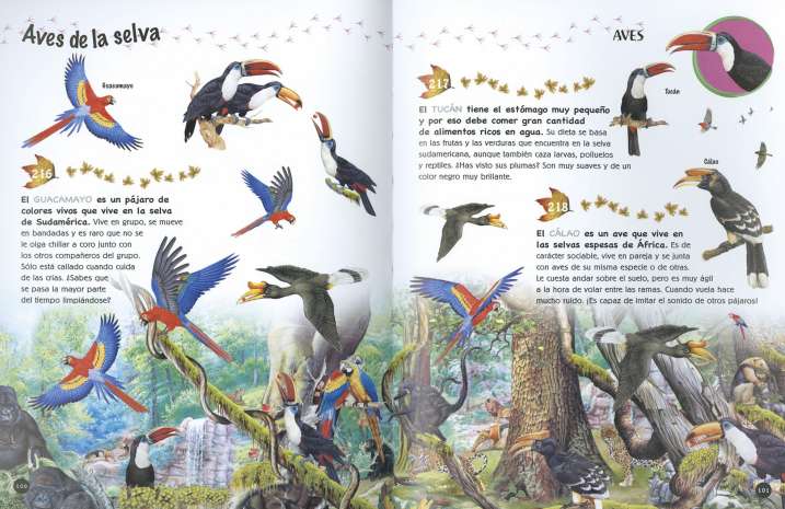 500 preguntas y respuestas...