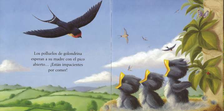 Un día con los animales