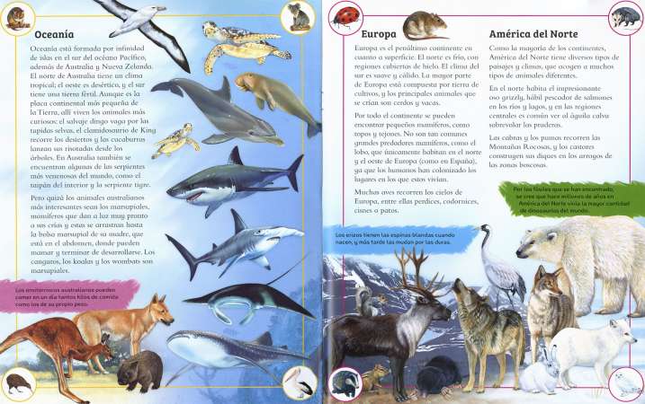 Planeta póster animales