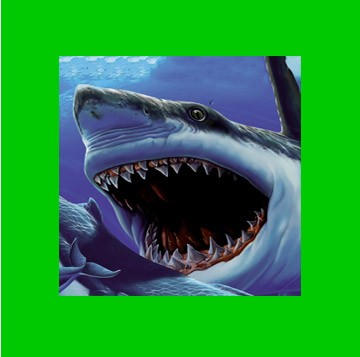 Ya sé LEER, 8-9 años